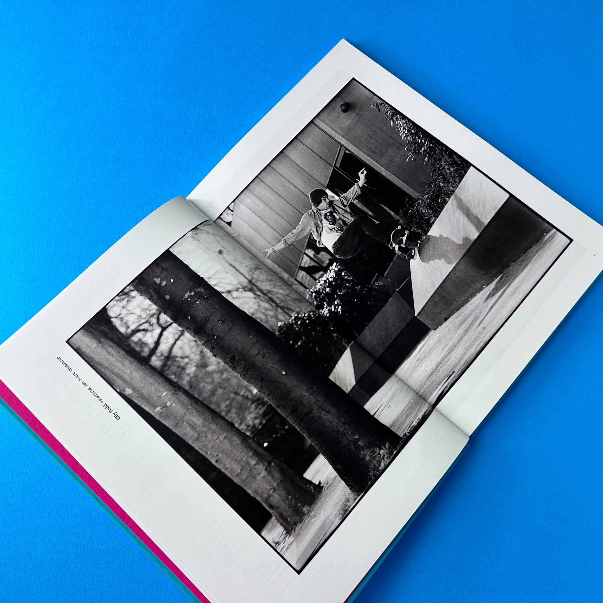 Naughty Book by Dominic Marley Alter Cycling